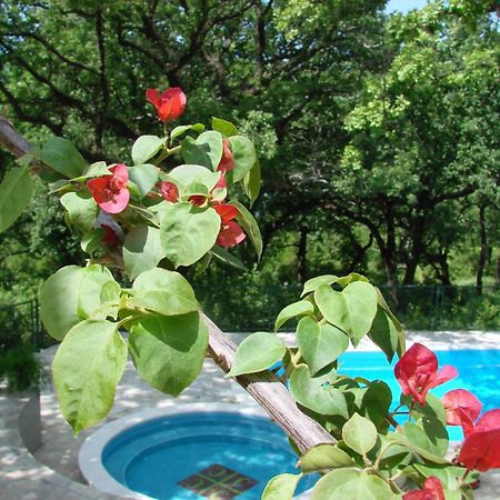 Poolside Apartments Miljan I Ranko Херцег Нови Екстериор снимка