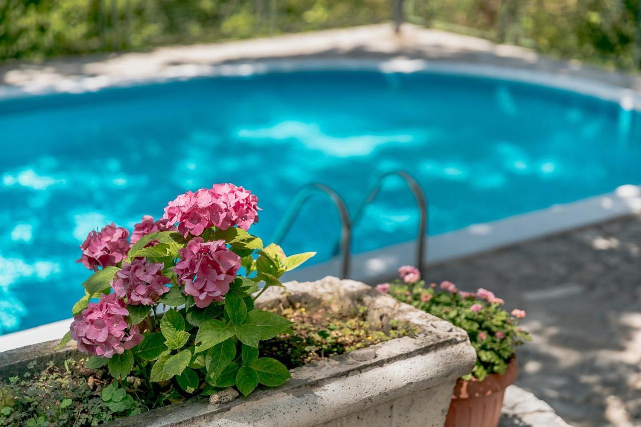 Poolside Apartments Miljan I Ranko Херцег Нови Екстериор снимка