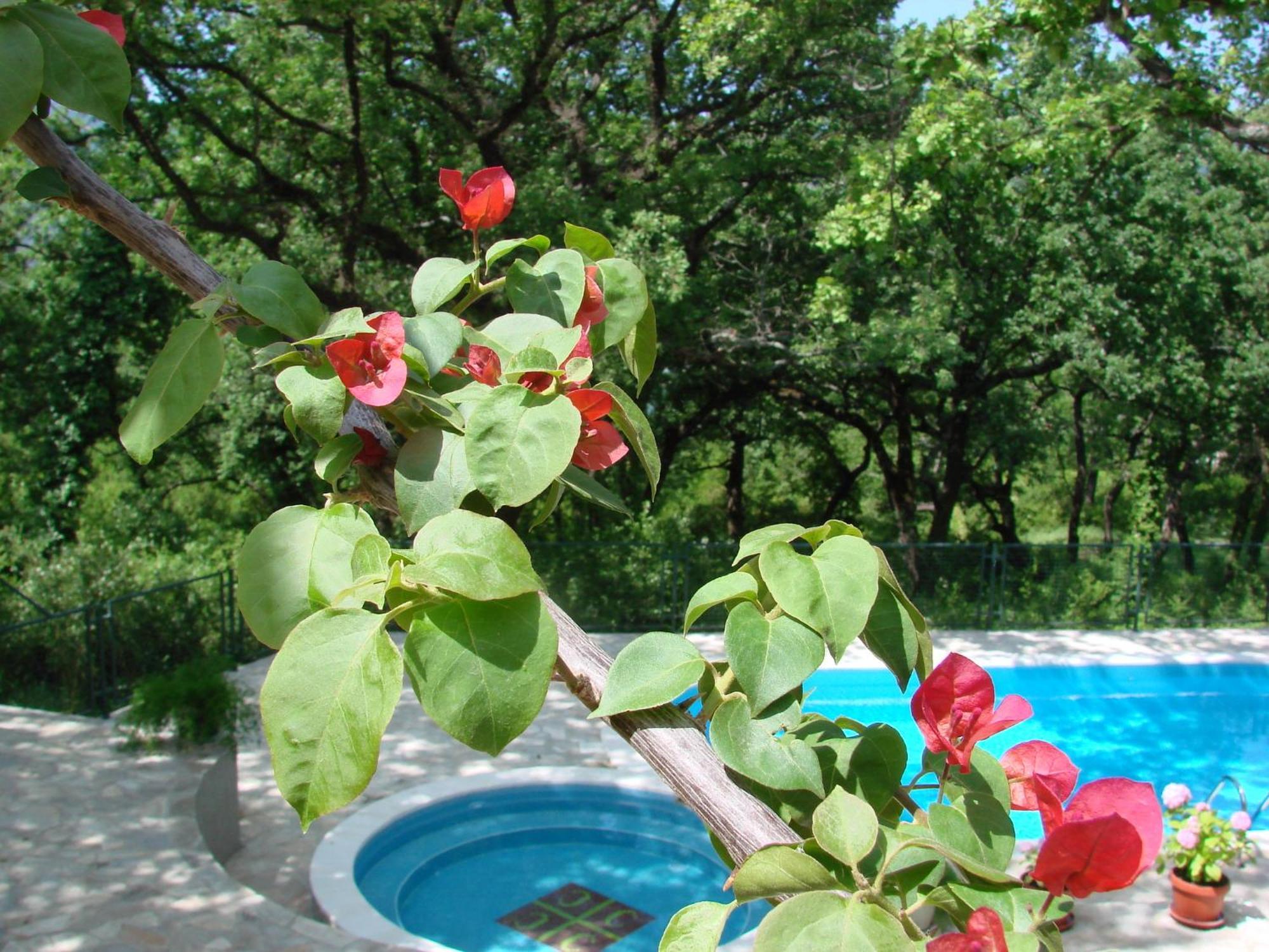 Poolside Apartments Miljan I Ranko Херцег Нови Екстериор снимка
